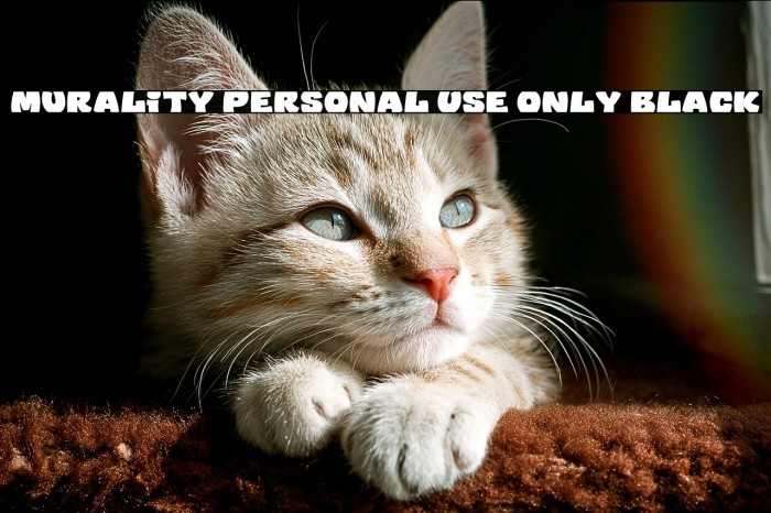 Murality PERSONAL USE ONLY Black Example 2