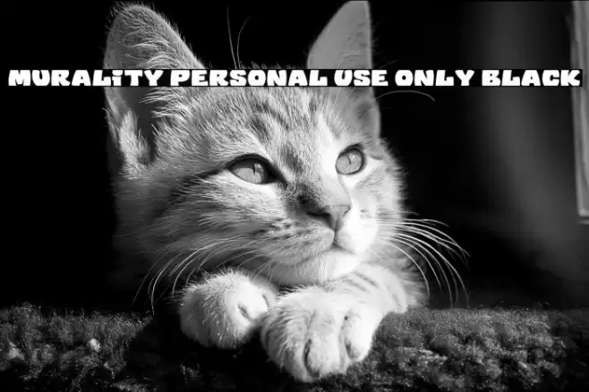 Murality PERSONAL USE ONLY Black Font examples