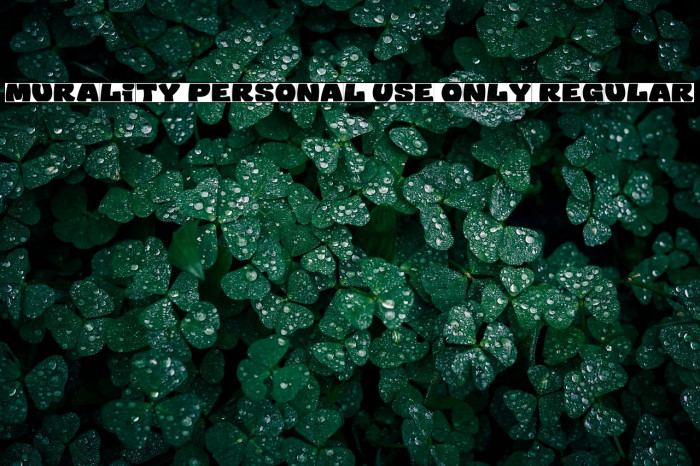 Murality PERSONAL USE ONLY Regular Example 3