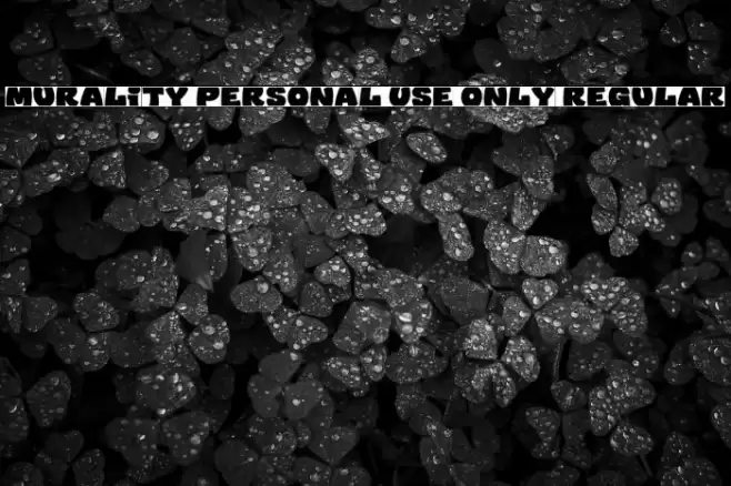 Murality PERSONAL USE ONLY Regular Font examples