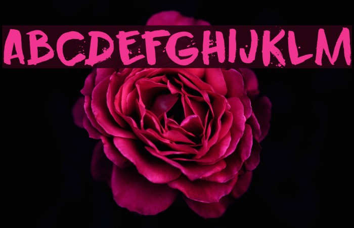Murasaki DEMO Regular Font examples