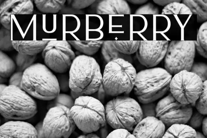 Murberry Font examples