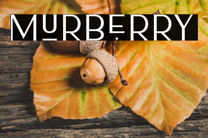 Murberry Example 2