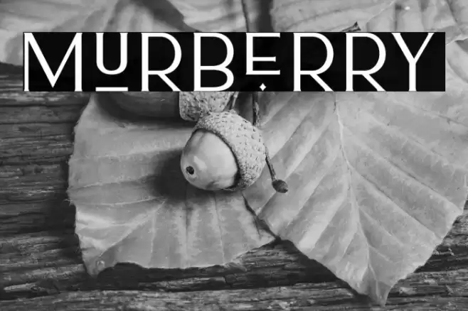 Murberry Font examples