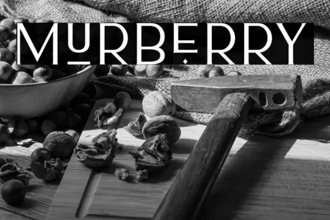 Murberry Font examples