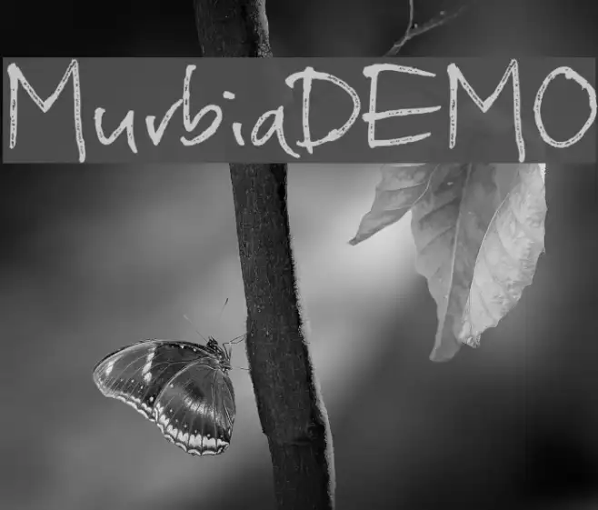 MurbiaDEMO Example 2