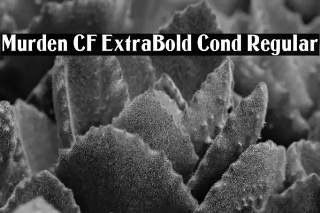 Murden CF ExtraBold Cond Regular Font examples