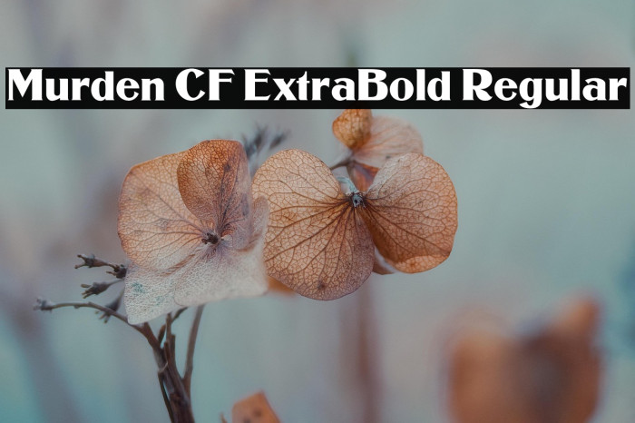 Murden CF ExtraBold Regular Example 2