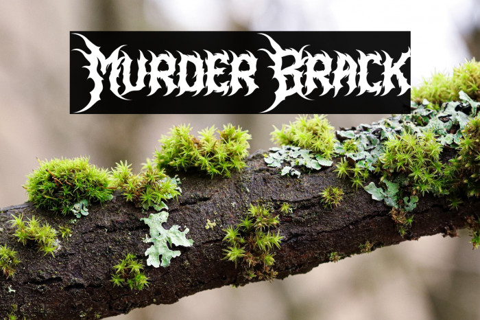 Murder Brack Example 3