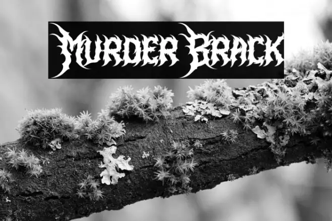 Murder Brack Example 3