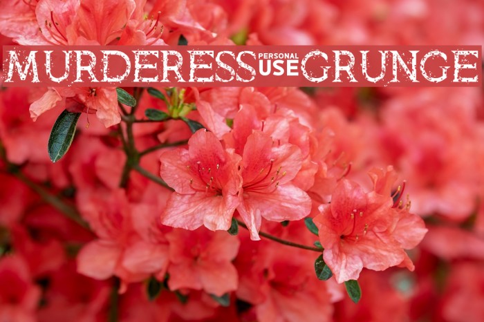 Murderess Grunge Font examples