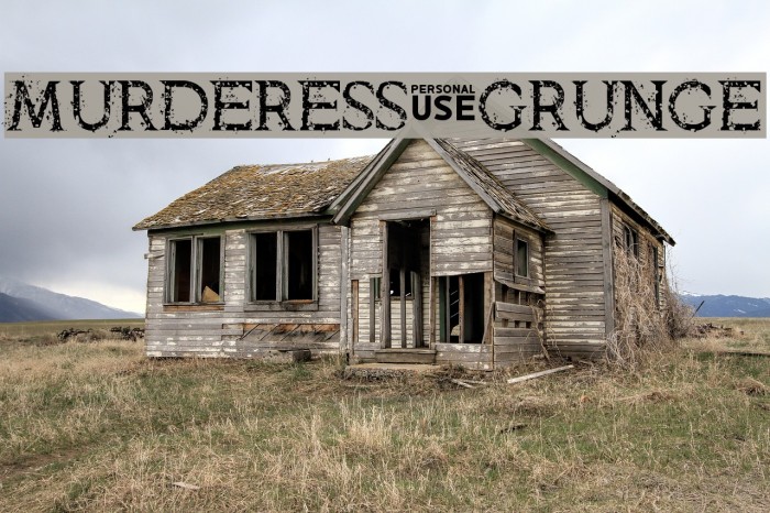 Murderess Grunge Font examples