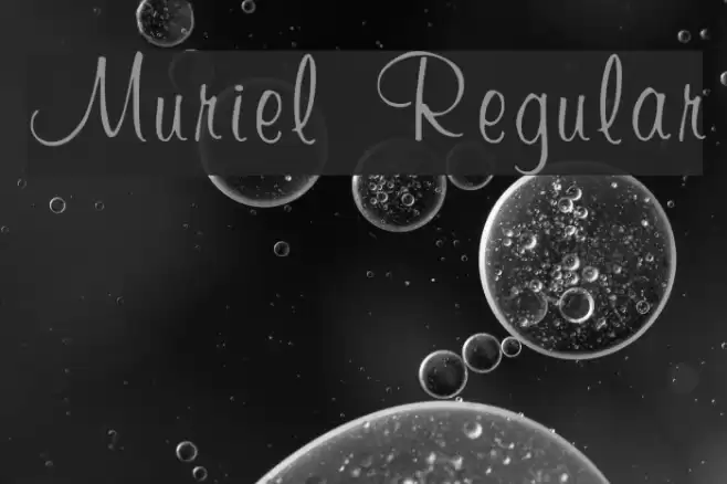 Muriel Regular Font examples