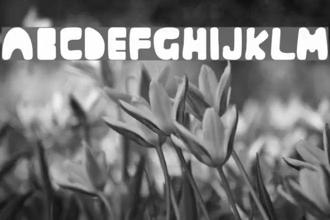 Muringa Font examples