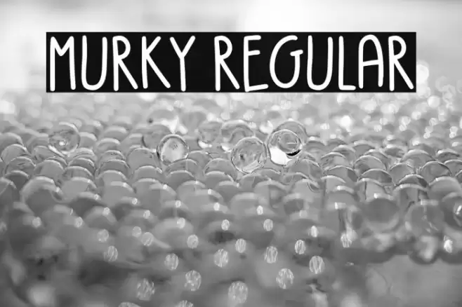 Murky Regular Font examples