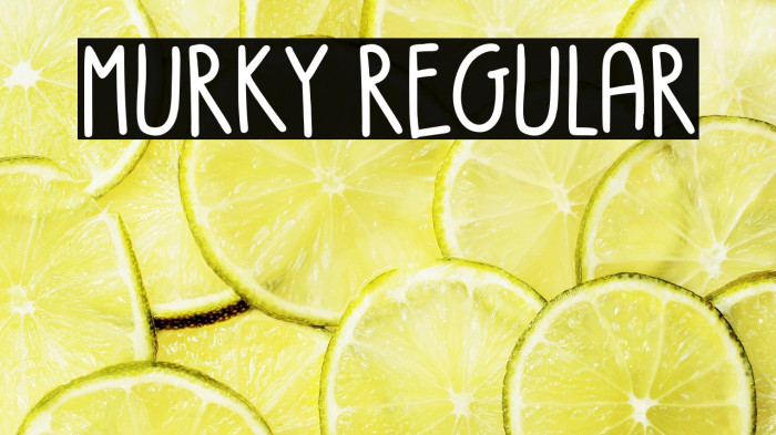 Murky Regular Example 3