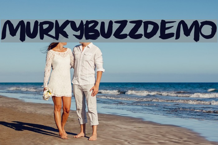 MurkyBuzzDEMO Example 1