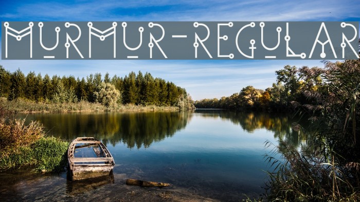 Murmur-Regular Example 2