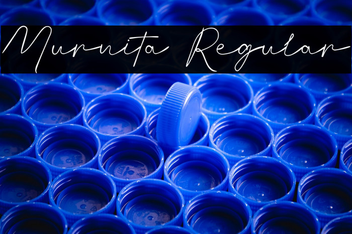 Murnita Regular Example 1