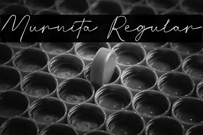 Murnita Regular Example 1