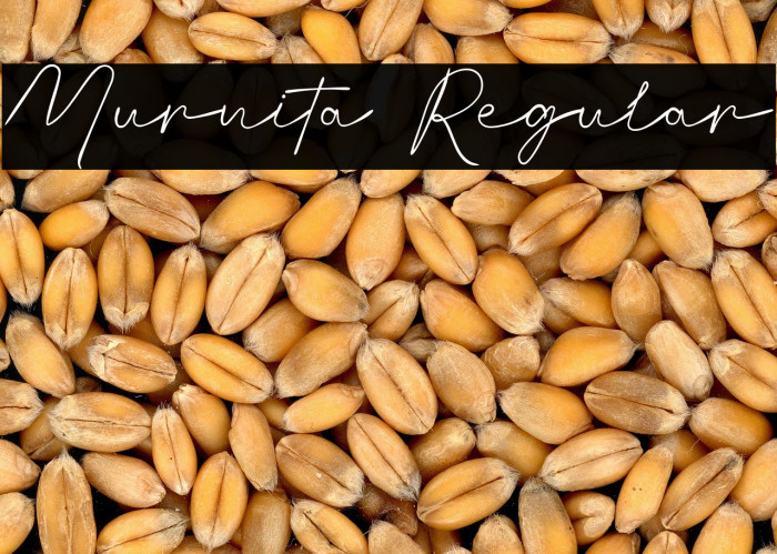 Murnita Regular Example 2