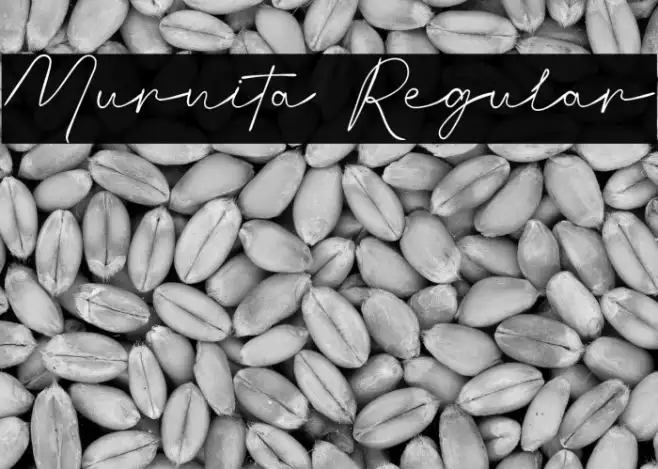 Murnita Regular Example 2