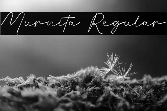 Murnita Regular Example 3