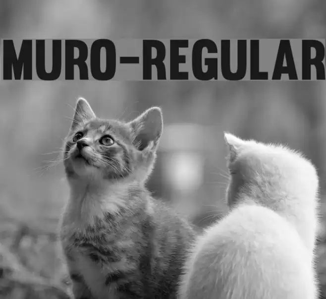 Muro-Regular Font examples