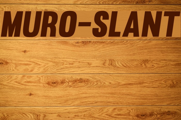Muro-Slant Font examples