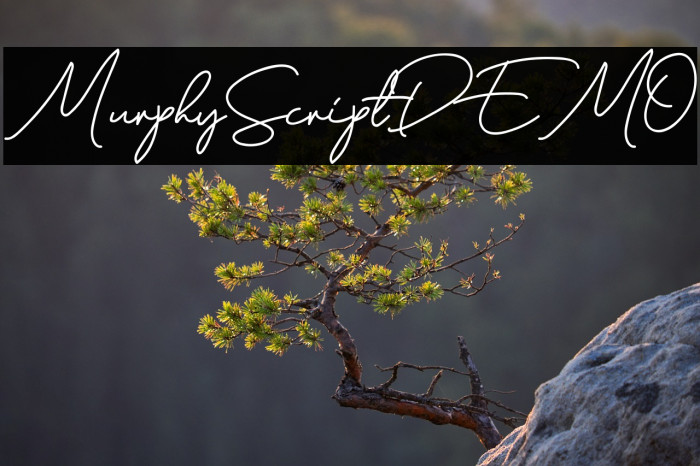 MurphyScriptDEMO Example 2