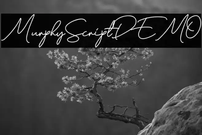 MurphyScriptDEMO Schriftart examples