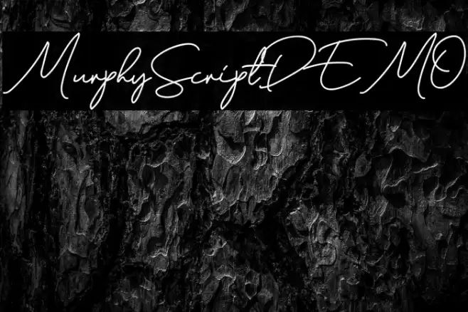 MurphyScriptDEMO Schriftart examples
