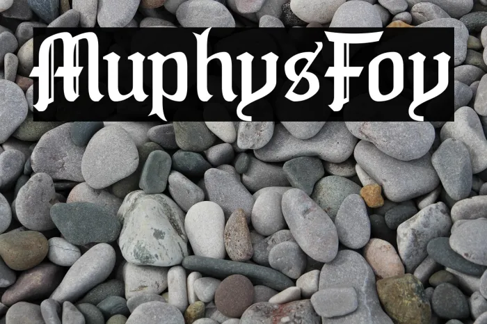 Murphy's Folly Example 2