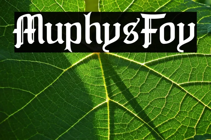 Murphy's Folly Example 3