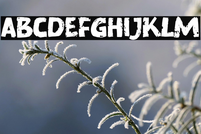 Murray Corn Example 2