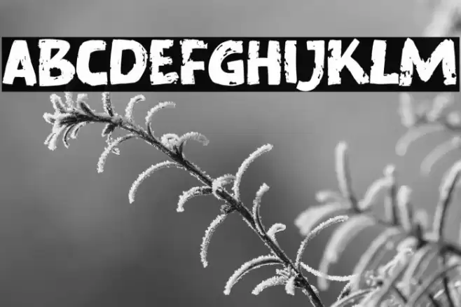 Murray Corn Font examples