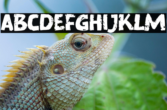 Murray Corn Example 3