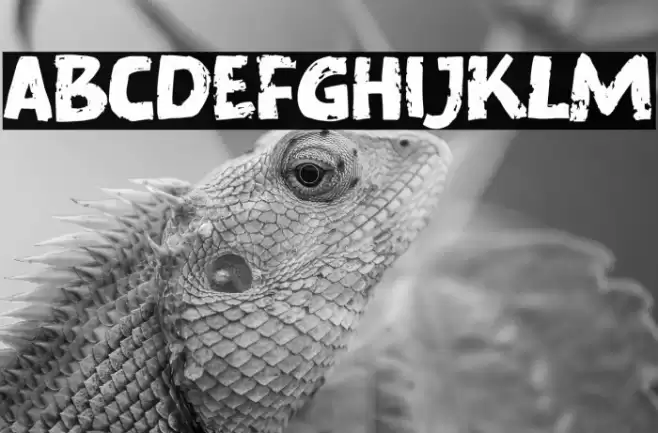 Murray Corn Font examples