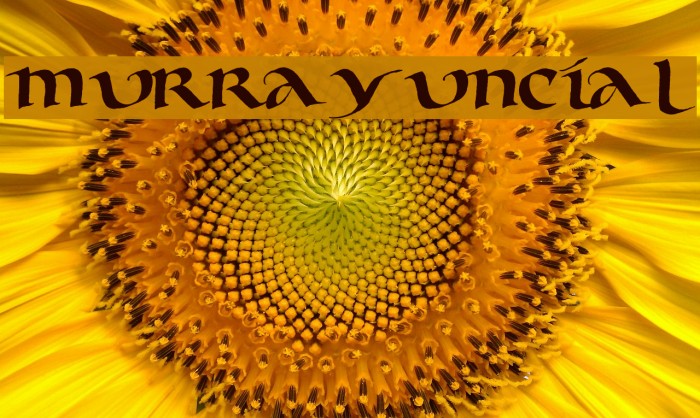 Murray Uncial Font examples