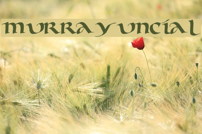Murray Uncial Font examples