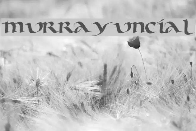Murray Uncial Example 3