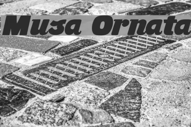 Musa Ornata Font examples