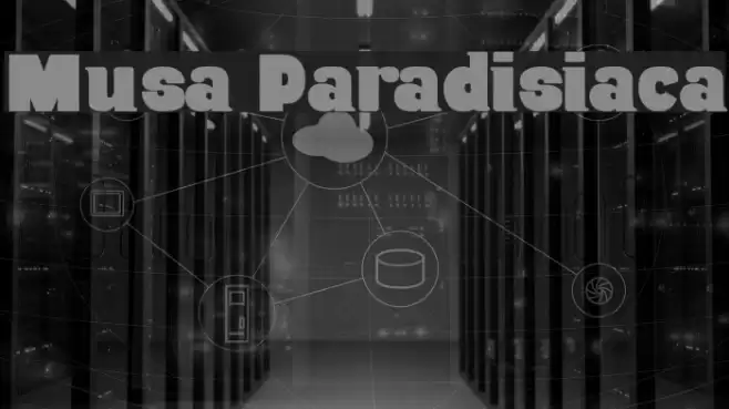 Musa Paradisiaca Schriftart examples