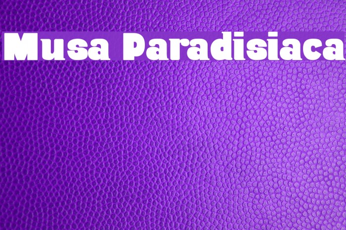 Musa Paradisiaca Font examples