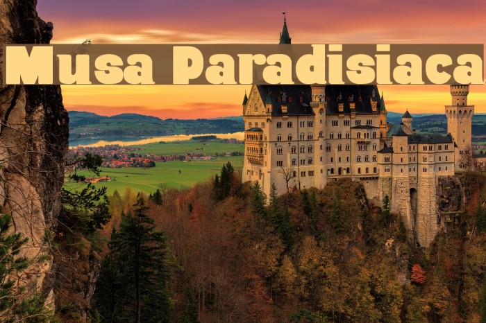 Musa Paradisiaca Font examples