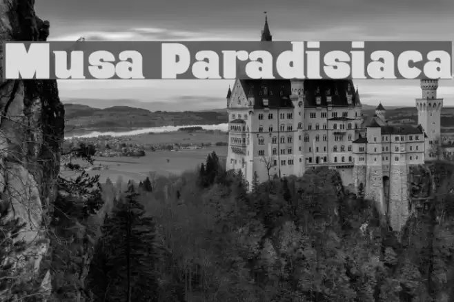Musa Paradisiaca Schriftart examples