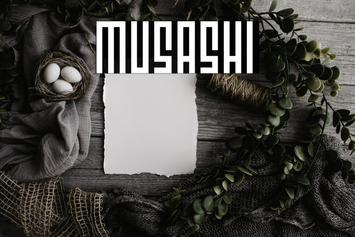 Musashi Example 1