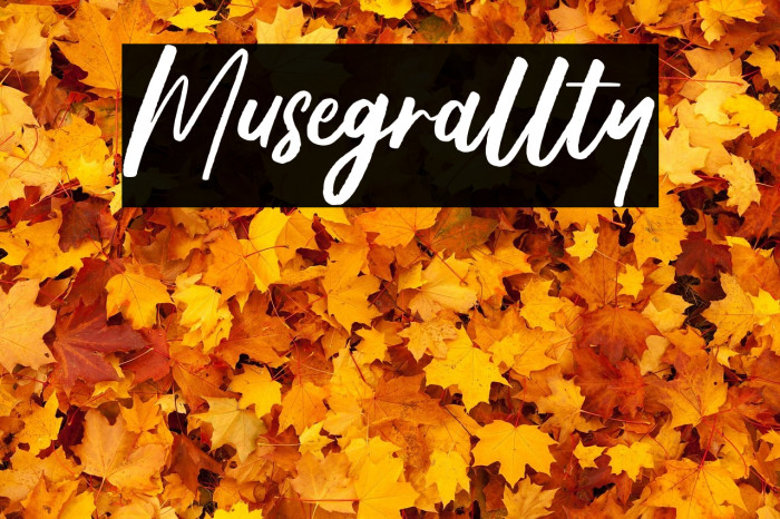 Musegrallty Example 3