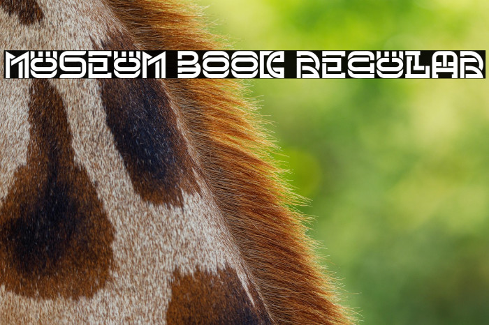 Museum Book Regular Example 2