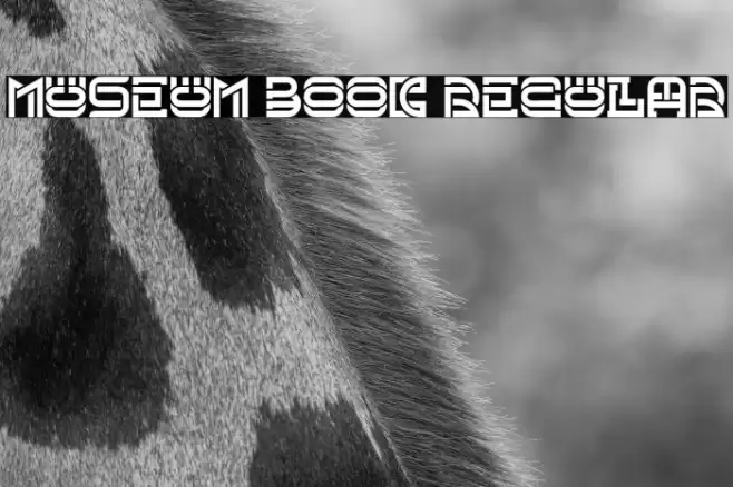 Museum Book Regular Font examples